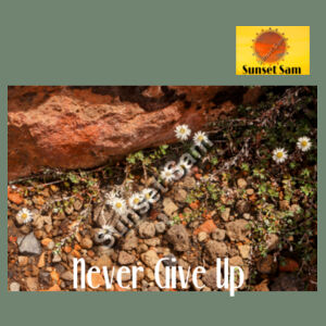 Flowers in the Rocks, Never give up - AS Colour Womens Premium Crew Design