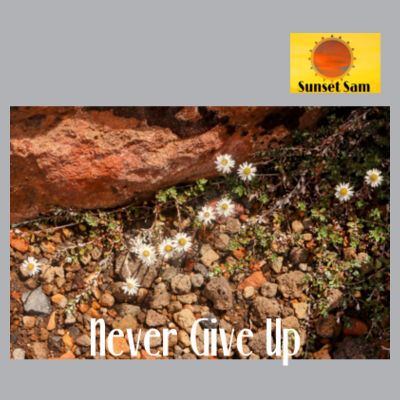 Flowers in the Rocks, Never give up - AS Colour Womens Premium Crew Design