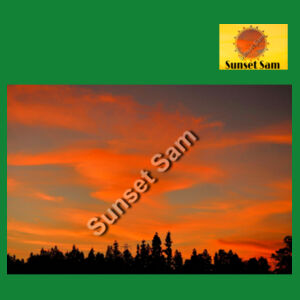 Sunset Swirl - Cloke Womens Silhouette Tee V2 Design