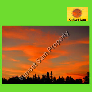 Sunset Swirl - Tote Bag Design