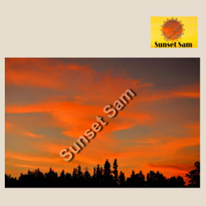 Sunset Swirl - Calico Tote Bag - Thread Project Design