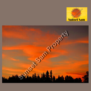 Sunset Swirl - AS Colour Womens Terry Skirt Design