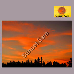 Sunset Swirl - AS Colour Women's Relax Crew Design