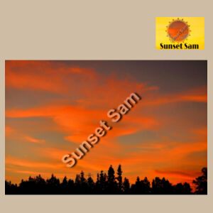 Sunset Swirl - AS Colour Womens Maple Curve Longsleeve Tee Design
