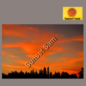 Sunset Swirl - AS Colour Womens Heavy Faded Tank Design