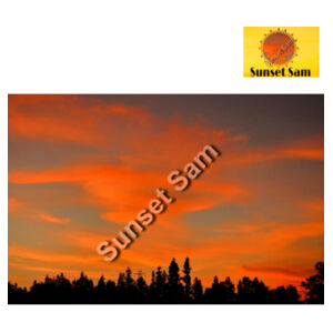 Sunset Swirl - AS Colour Womens Maple Tank Design