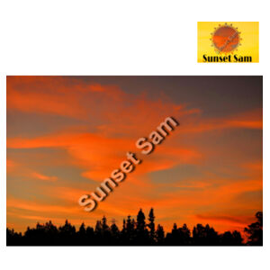 Sunset Swirl - AS Colour Womens Martina Crop Tank Design