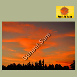 Sunset Swirl - AS Colour Womens Upside Tank Design