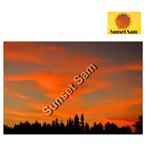 Sunset Swirl - AS Colour Womens Martina Tank Design