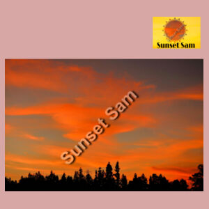Sunset Swirl - AS Colour Womens Maple Faded Tee Design
