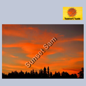 Sunset Swirl - AS Colour Womens Classic Tee Design