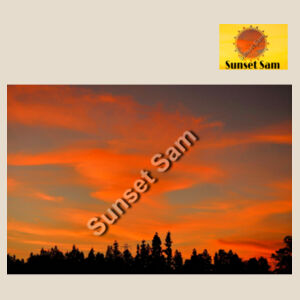 Sunset Swirl - AS Colour Womens Maple Organic Tee Design