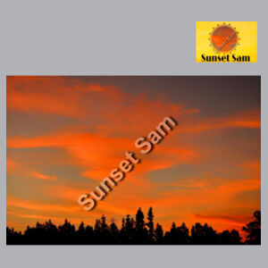 Sunset Swirl - AS Colour Womens Supply Crew Design