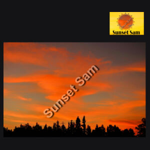 Sunset Swirl - AS Colour Womens Mali Tee Design