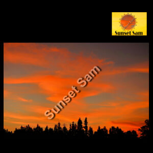 Sunset Swirl - Thread Project Unisex Epic Hoodie Design