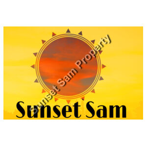 Sunset Swirl, Photo on back - AS Colour Mens Staple Ringer Tee Design