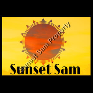 Sunset Powerswirl, photo on back - Cloke Mens Concept Singlet Design