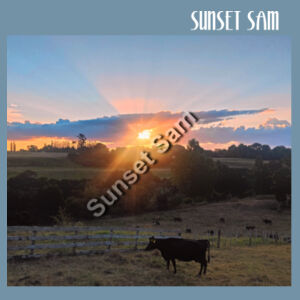 Sunset Cow - AS Colour Denim Carrie Tote Design
