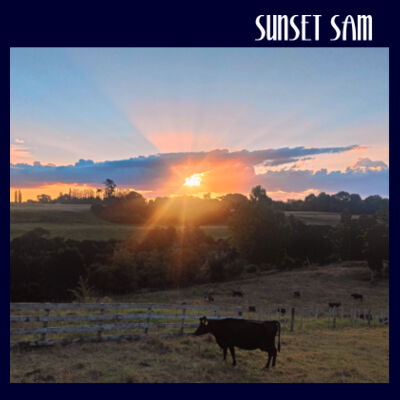 Sunset Cow - Apron Design