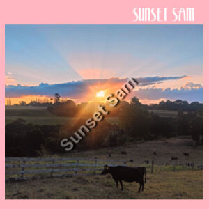 Sunset Cow - AS Colour Carrie Tote Bag  Design
