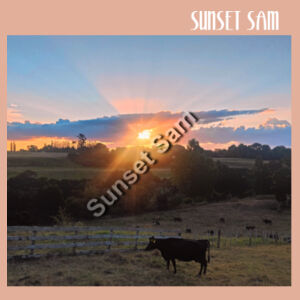 Sunset Cow - AS Colour Womens Premium Hood Design