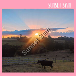 Sunset Cow - AS Colour Womens Sophie Long Sleeve Tee Design