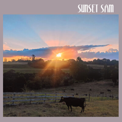Sunset Cow - AS Colour Womens Crop Tee Design