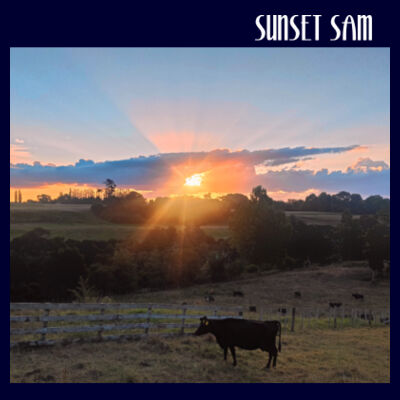 Sunset Cow - Thread Project Unisex Summer Tee Design