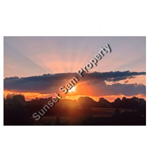SUN STAR GLOW - Tea Towel Design