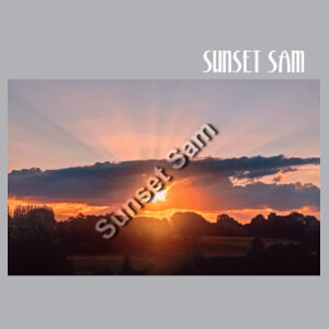 SUN STAR GLOW - AS Colour Womens Mika Organic Short Sleeved Dress Design