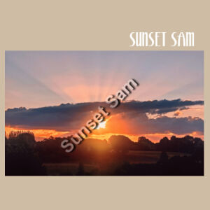 SUN STAR GLOW - AS Colour Women's Relax Crop Crew Design