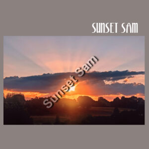 SUN STAR GLOW - AS Colour Womens Heavy Faded Tank Design
