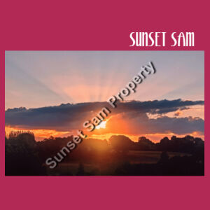 SUN STAR GLOW - Biz Collection Ladies Ice Tee Design