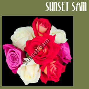 Rose posy - AS Colour Carrie Half Apron Design