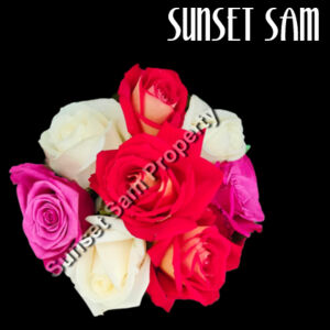 Rose posy - AS Colour Linen Apron Design
