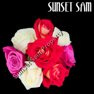 Rose posy - AS Colour Canvas Half Apron Design