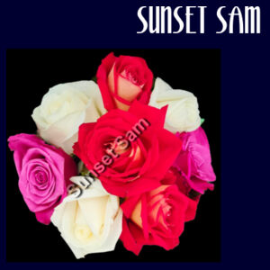 Rose posy - Apron Design