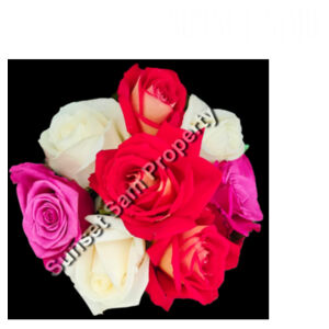 Rose posy - AS Colour Womens Oversized Dress Design