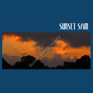 Through the storm, front - Cushion cover Design