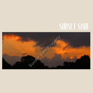 Through the storm, front - Heavy Duty Canvas Tote Bag Design