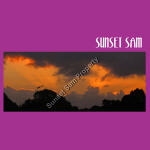 Through the storm, front - Tote Bag Design