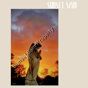 Angel glow - Heavy Duty Canvas Tote Bag Design