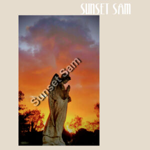 Angel glow - Calico Tote Bag - Thread Project Design