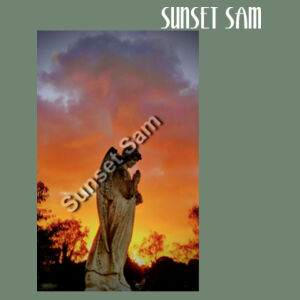Angel glow - AS Colour Womens Premium Hood Design
