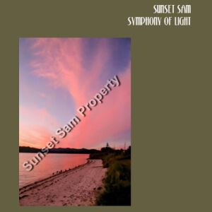 Beach sunset, front - C-Force Womens Stacy Tee Design