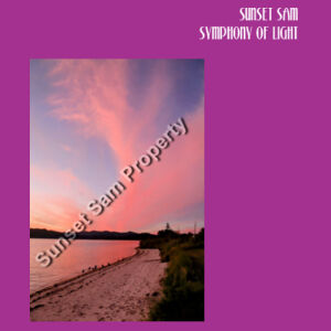 Beach sunset, front - Tote Bag Design