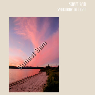 Beach sunset, front - Calico Tote Bag - Thread Project Design