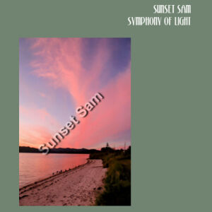 Beach sunset, front - AS Colour Womens Premium Hood Design