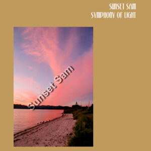 Beach sunset, front - AS Colour Womens Maple Faded Tee Design