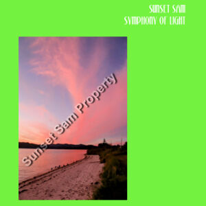 Beach sunset, front - Biz Collection Ladies Ice Tee Design